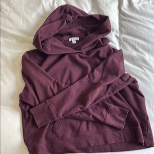 James Perse Hooded Sweatshirt